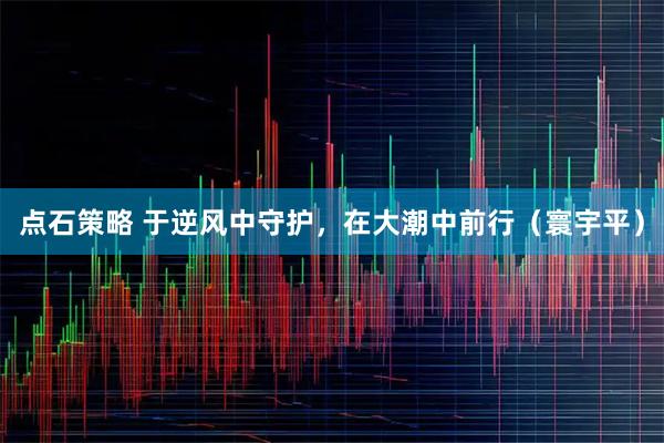 点石策略 于逆风中守护，在大潮中前行（寰宇平）